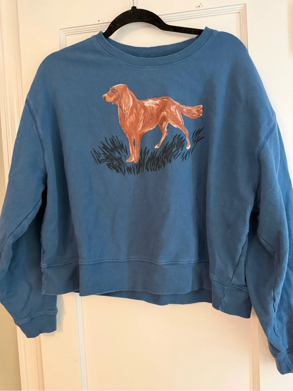 Maeve Blue Dog Graphic Sweatshirt - golden retriever